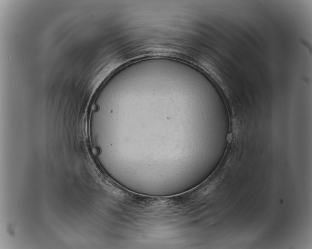 X0000101660891200807241415