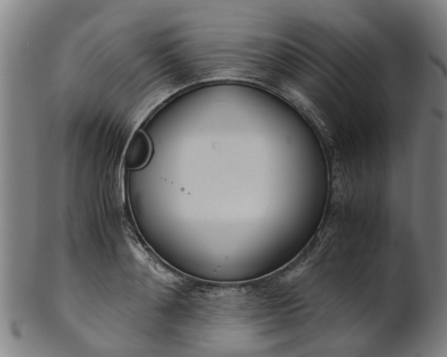 X0000101660892200807241415