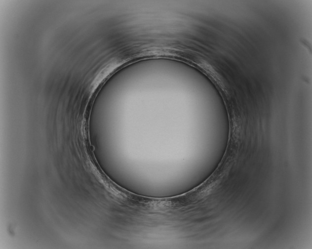 X0000101660893200807241415