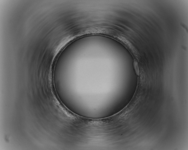 X0000101660894200807241415