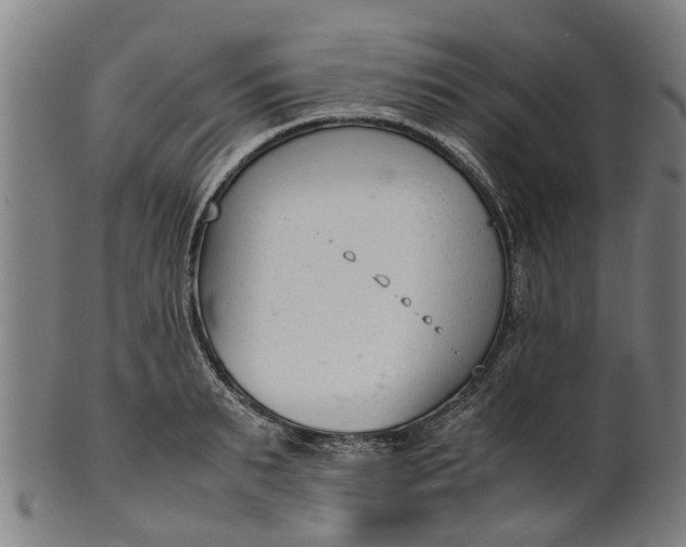 X0000101660895200807241415