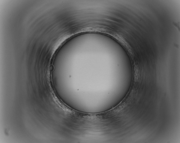 X0000101660896200807241415