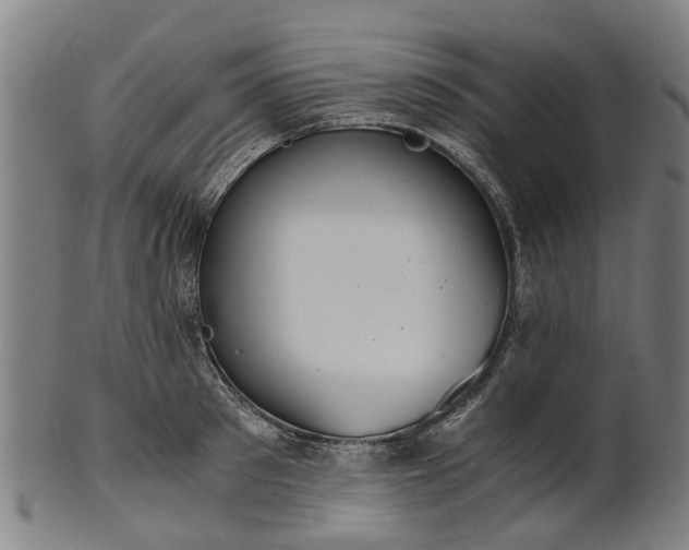 X0000101660897200807241415