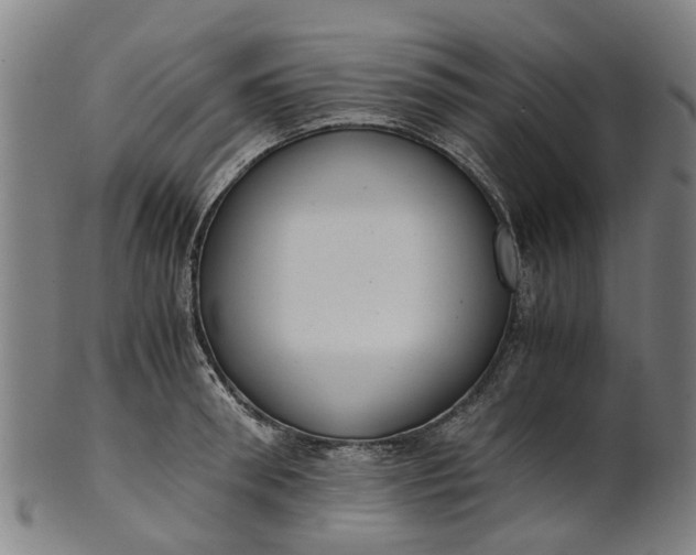 X0000101660898200807241415