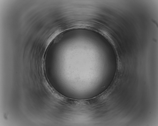 X0000101660899200807241415