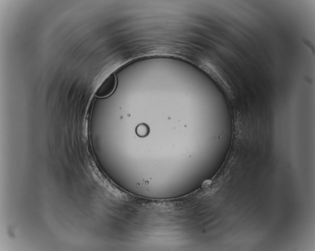 X0000101660900200807241415