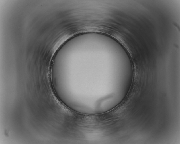 X0000101660901200807241415