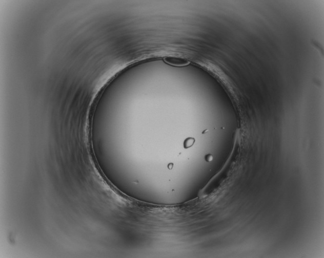 X0000101660902200807241415