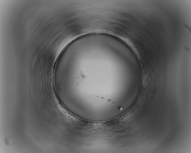 X0000101660903200807241415