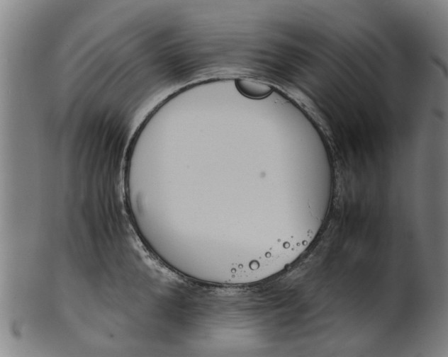 X0000101660904200807241415