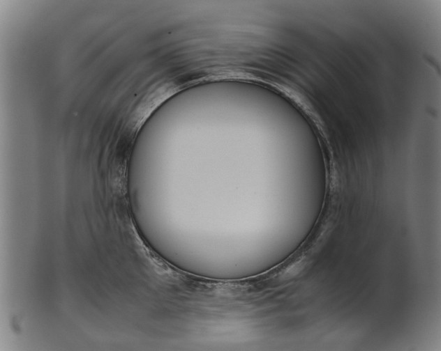 X0000101660905200807241415