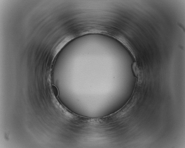 X0000101660906200807241415