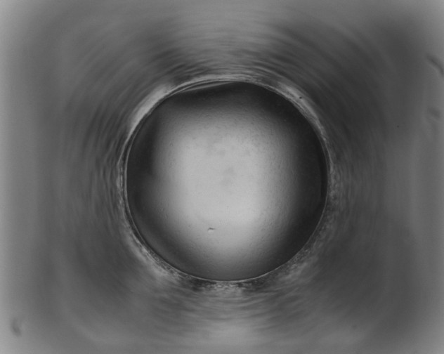 X0000101660907200807241415