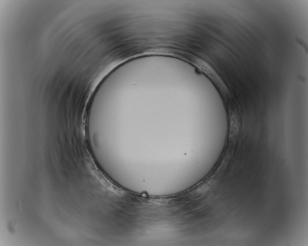 X0000101660908200807241415