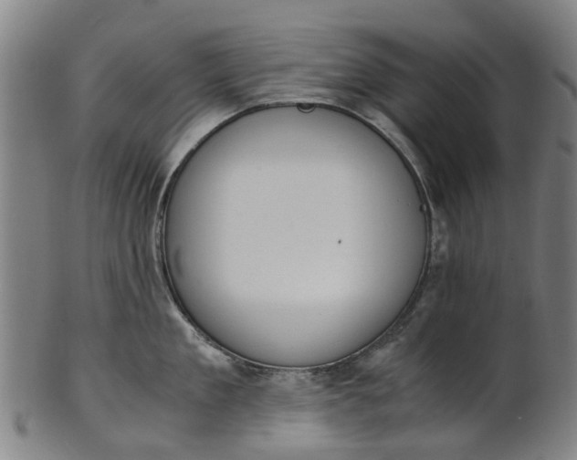 X0000101660909200807241415