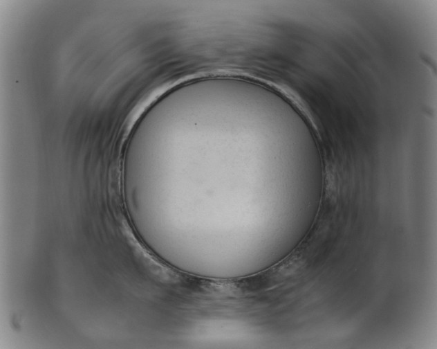 X0000101660911200807241415