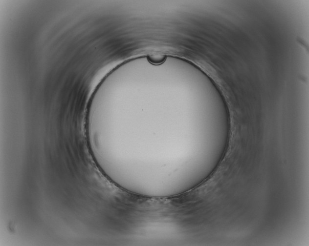 X0000101660912200807241414