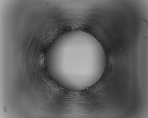 X0000101660914200807241414