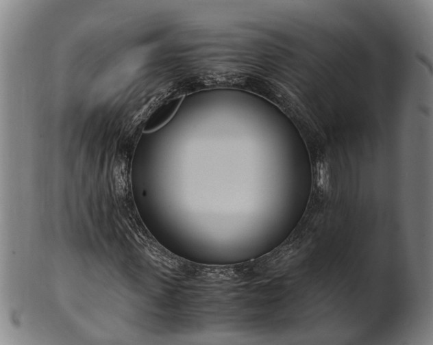 X0000101660915200807241414