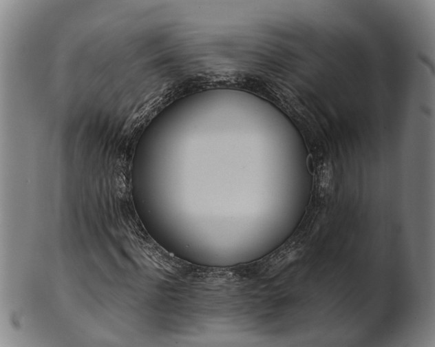 X0000101660916200807241414