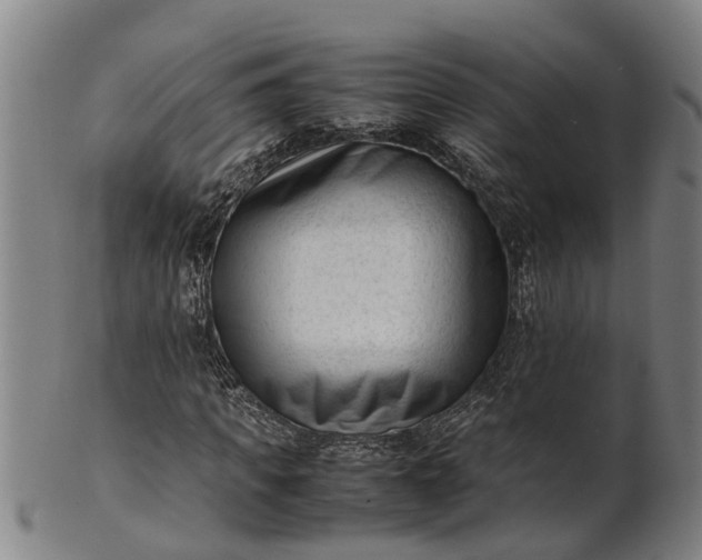 X0000101660917200807241414