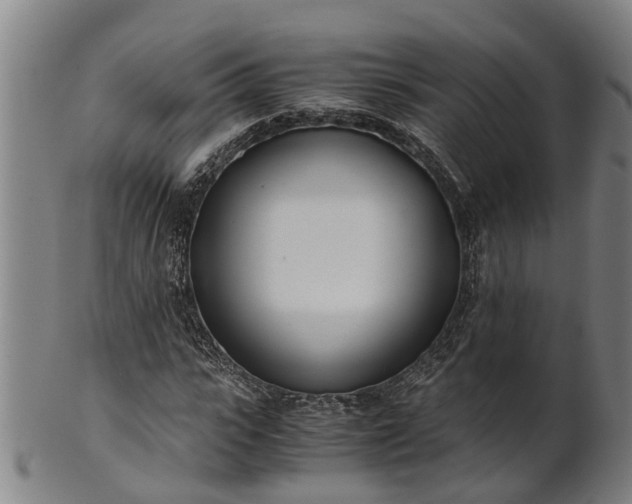 X0000101660919200807241414