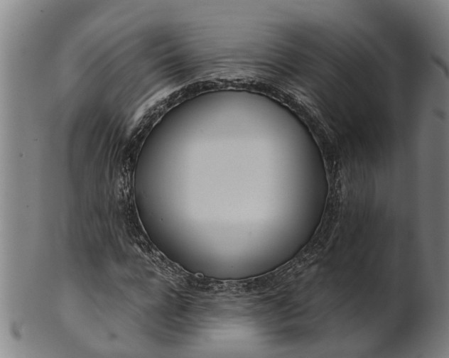 X0000101660920200807241414