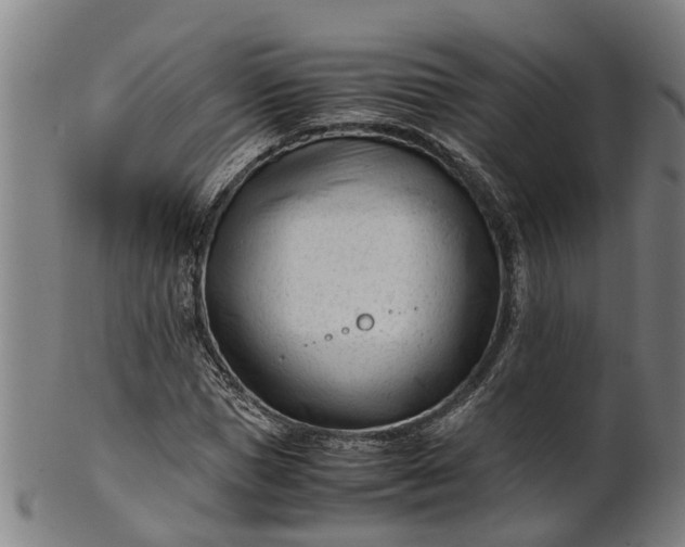 X0000101660921200807241414