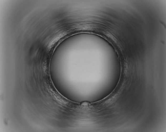 X0000101660922200807241414