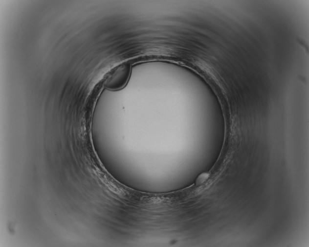 X0000101660923200807241414