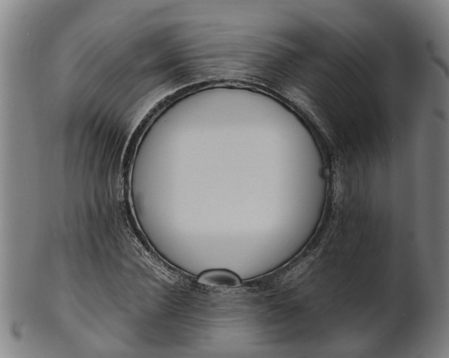 X0000101660924200807241414