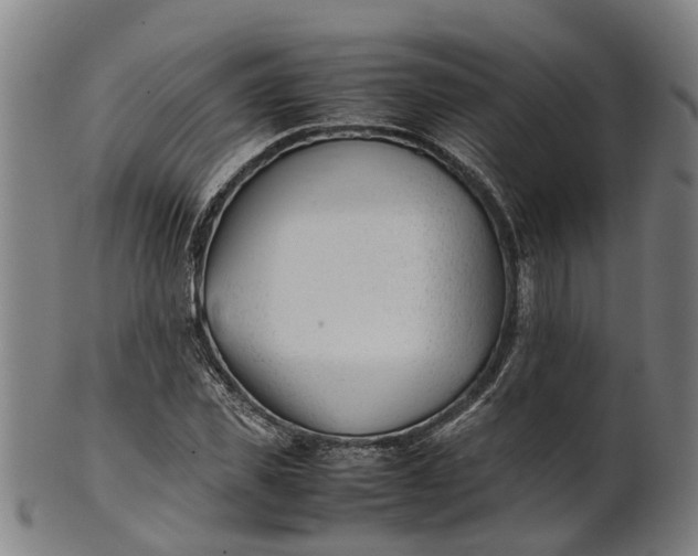 X0000101660925200807241414