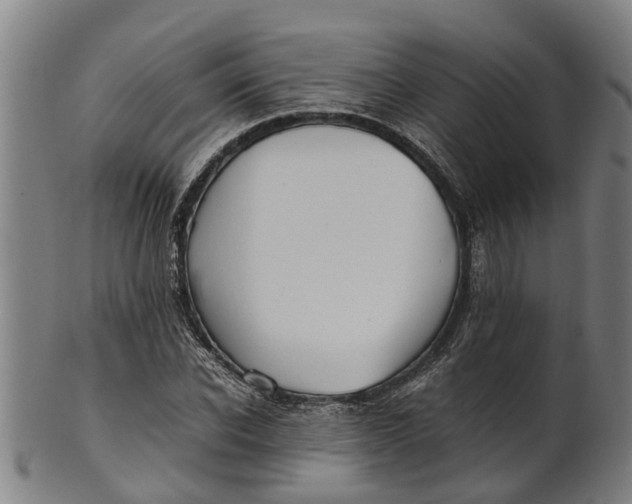 X0000101660926200807241414