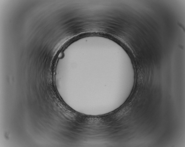 X0000101660927200807241414