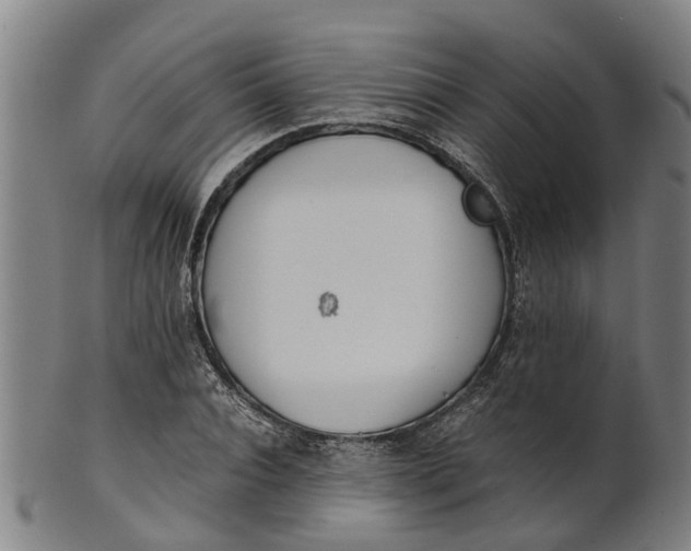 X0000101660928200807241414