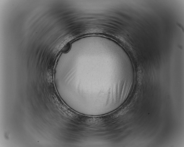 X0000101660929200807241414