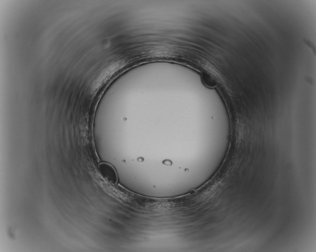 X0000101660930200807241414