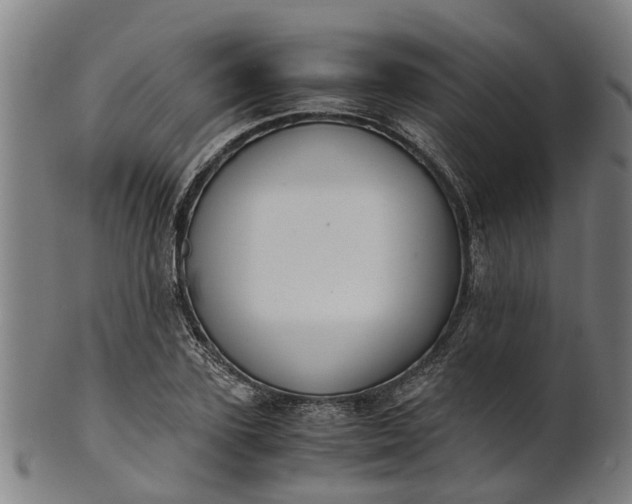 X0000101660931200807241414