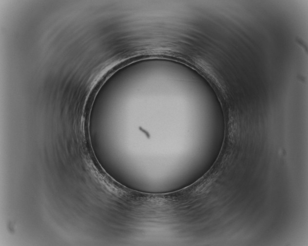 X0000101660932200807241414