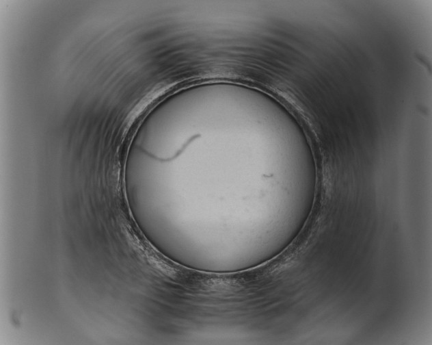 X0000101660933200807241414