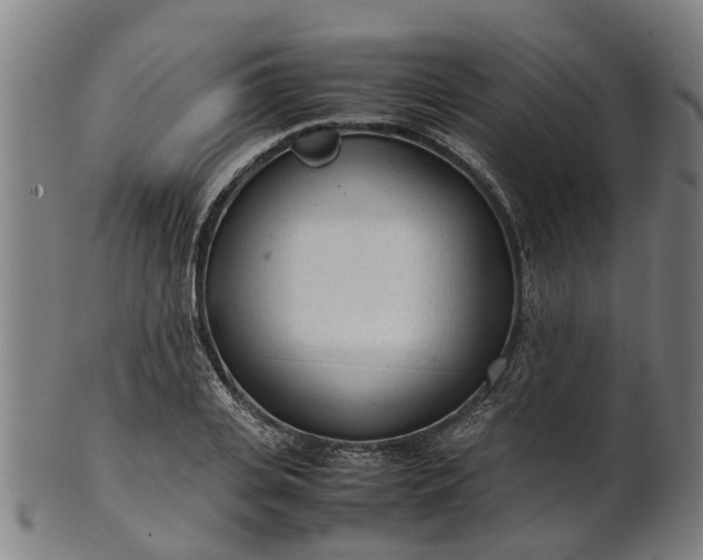 X0000101660935200807241414