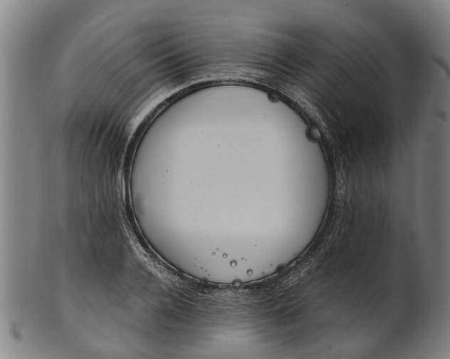 X0000101660936200807241414