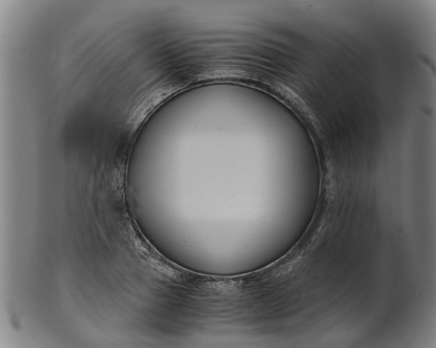 X0000101660937200807241414