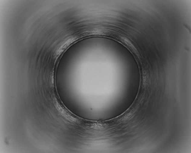 X0000101660938200807241414