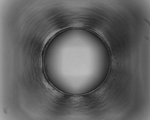 X0000101660939200807241414