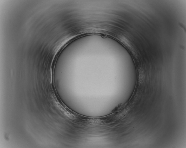 X0000101660940200807241414