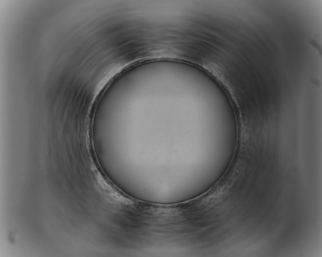 X0000101660941200807241414