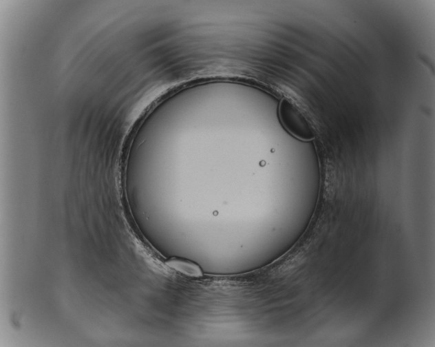 X0000101660942200807241414