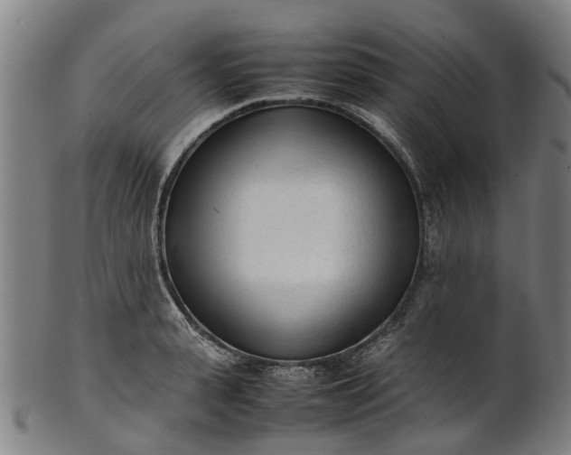 X0000101660943200807241414