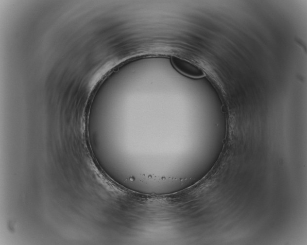 X0000101660944200807241414